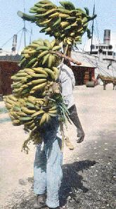 Man With Bananas on his way to ship